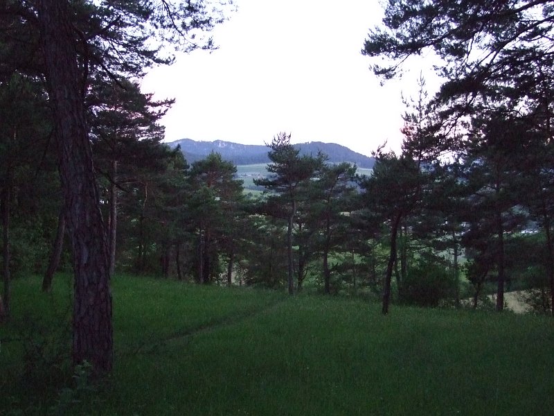 022.jpg