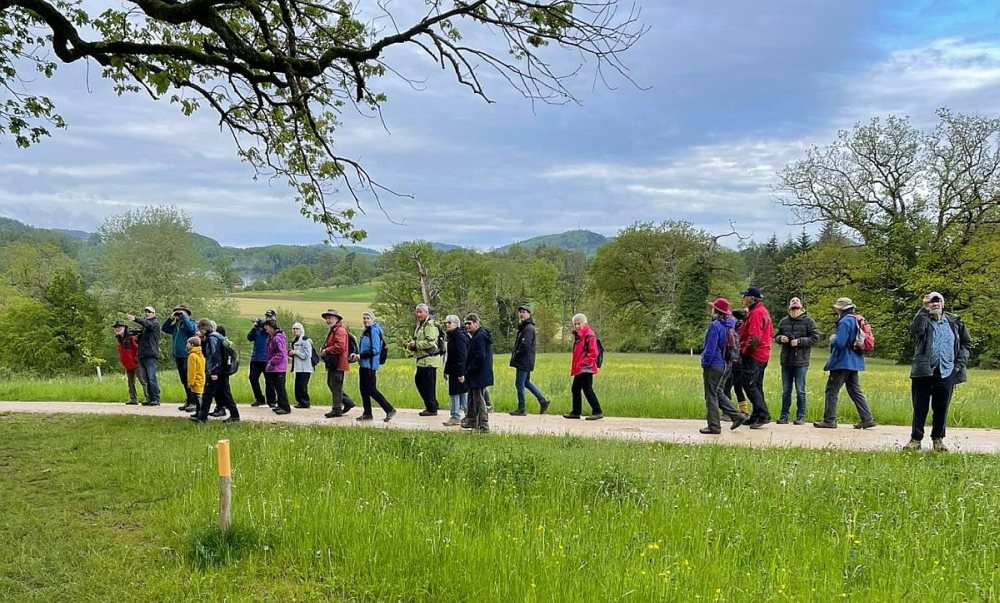 Morgenexkursion_2021_03.jpg