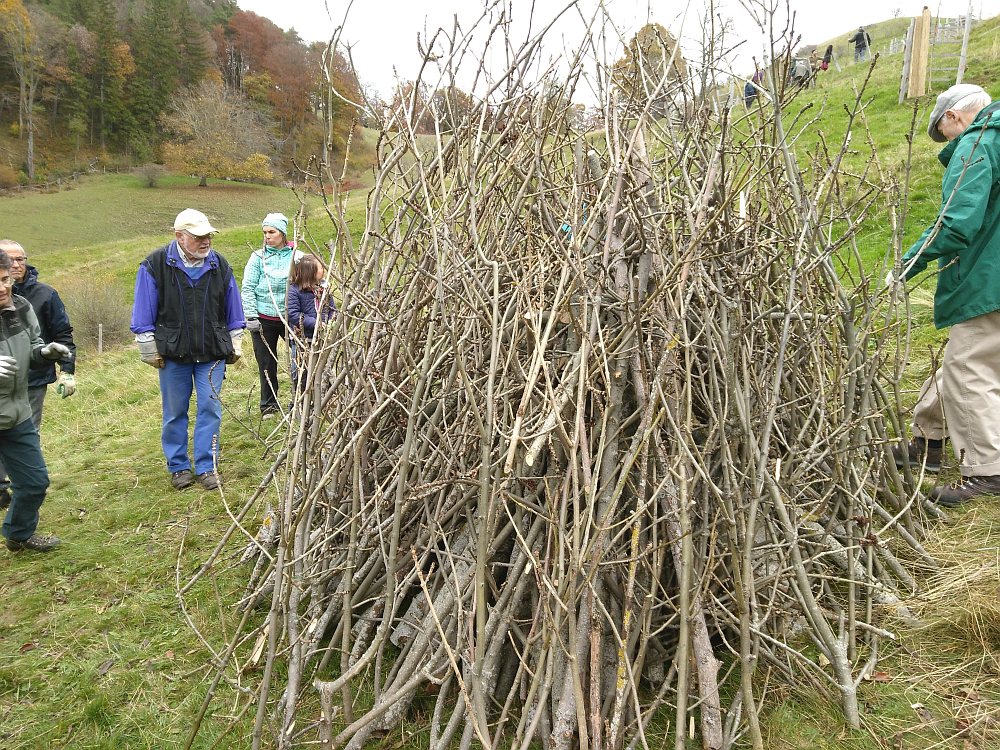 Naturschutztag_2021_20.jpg