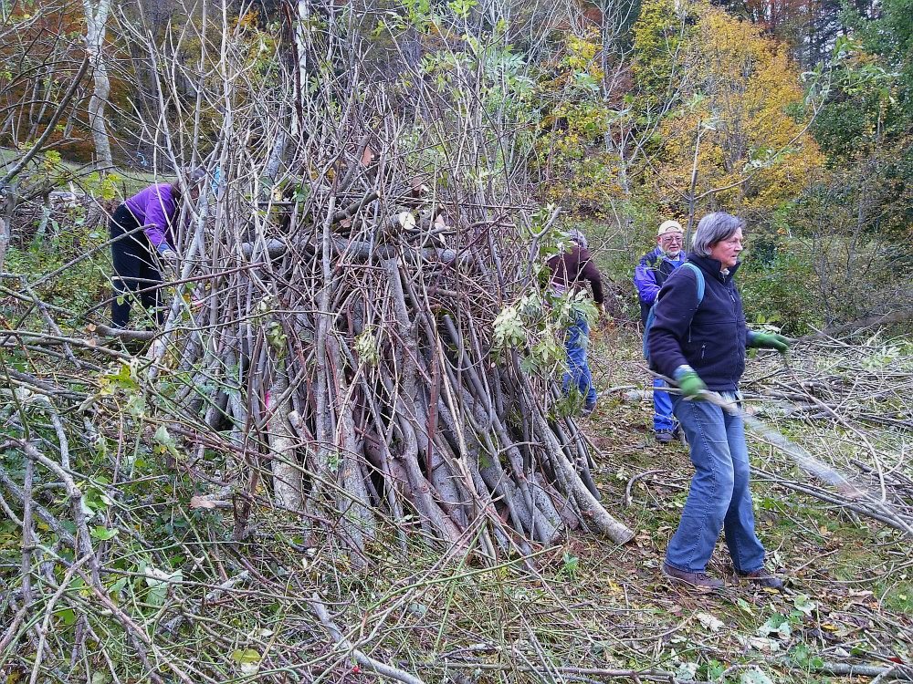 Naturschutztag_2021_27.jpg